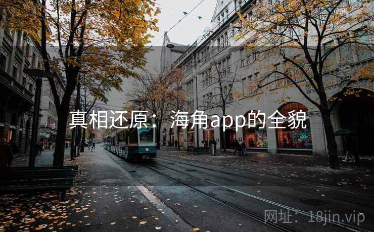 真相还原：海角app的全貌