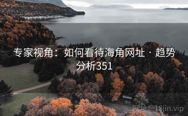 专家视角：如何看待海角网址 · 趋势分析351