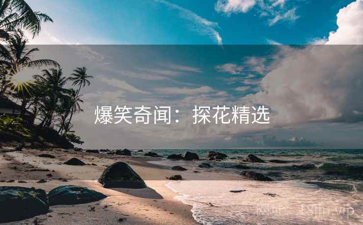爆笑奇闻：探花精选
