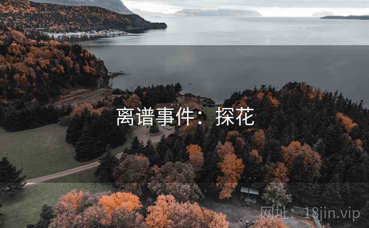 离谱事件：探花