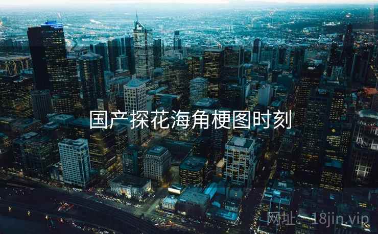 国产探花海角梗图时刻