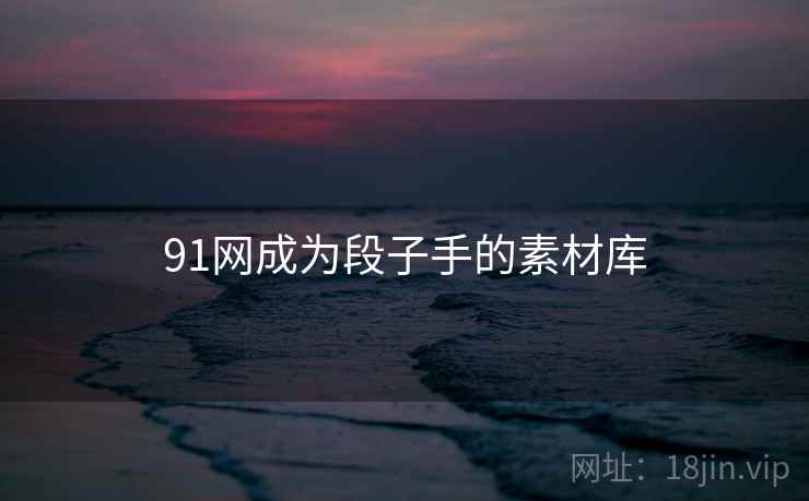 91网成为段子手的素材库