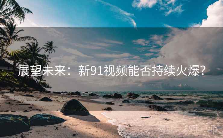 展望未来：新91视频能否持续火爆？