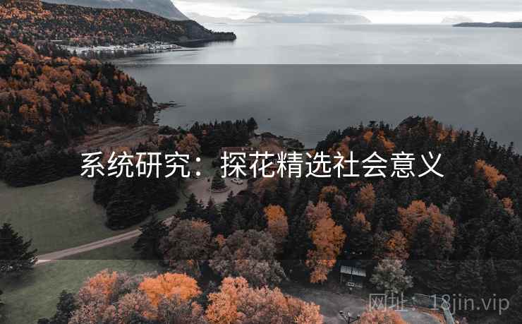系统研究：探花精选社会意义