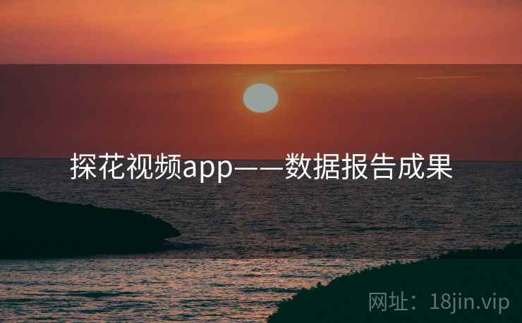 探花视频app——数据报告成果