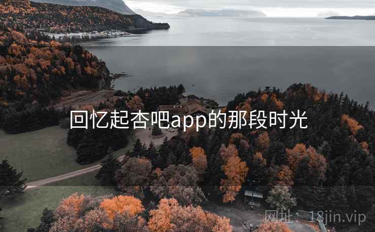 回忆起杏吧app的那段时光