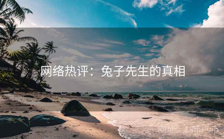 网络热评：兔子先生的真相